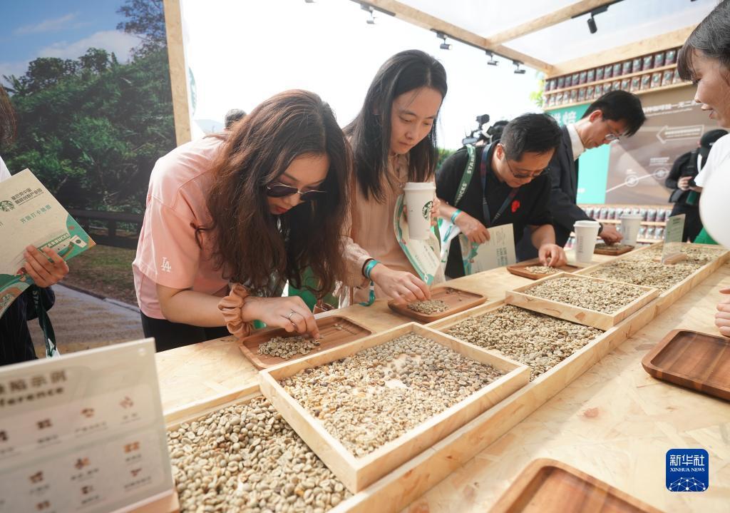 jj棋牌全部版本